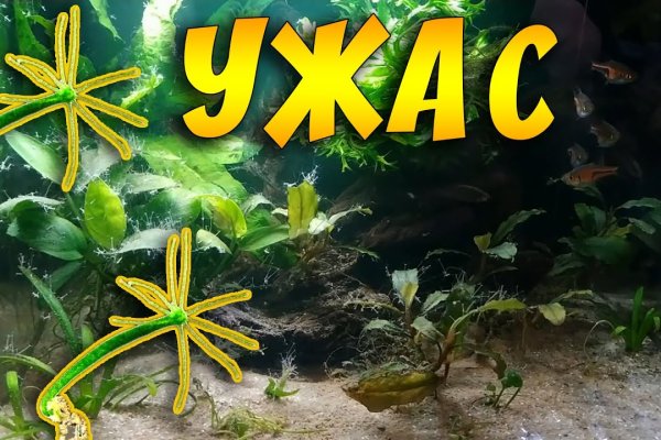 Как зайти в кракен