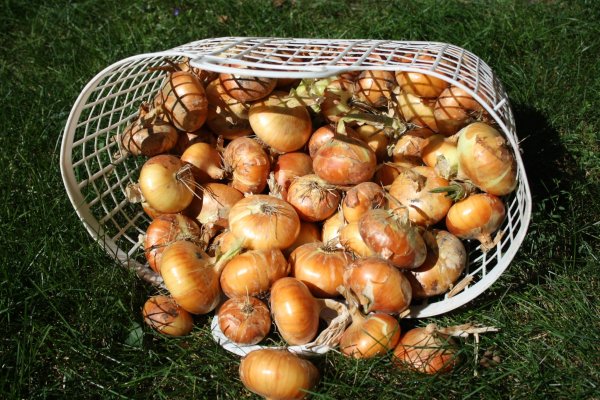 Запрещенный сайт кракен