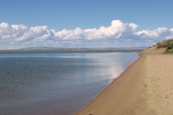 Кракен нарко