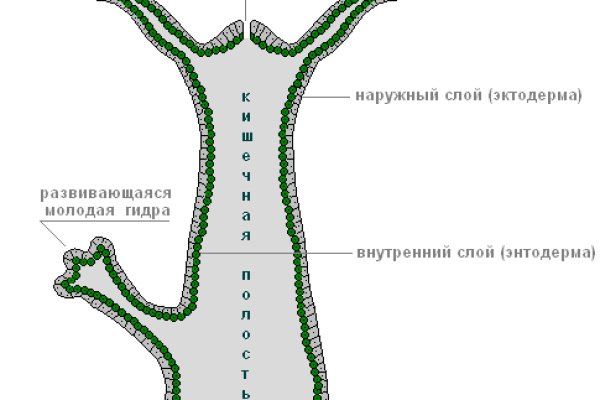 Кракен ссылка что это