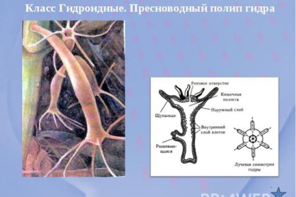 Как восстановить пароль на кракене